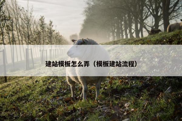 建站模板怎么弄（模板建站流程）
