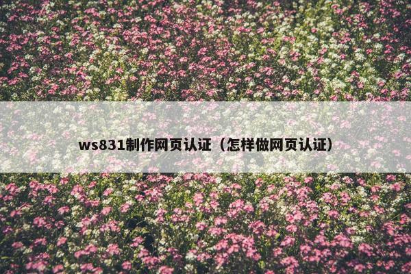 ws831制作网页认证（怎样做网页认证）