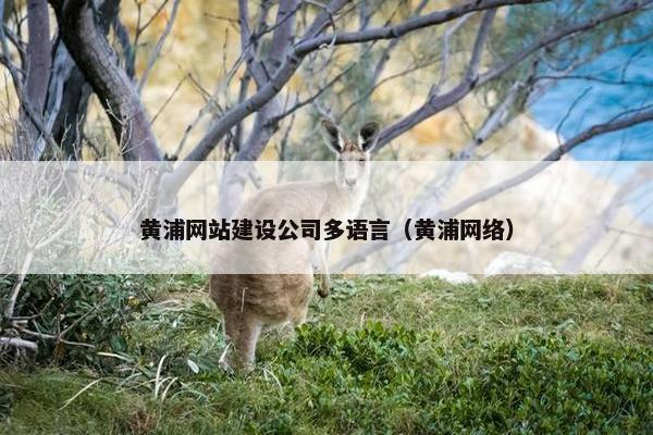 黄浦网站建设公司多语言（黄浦网络）
