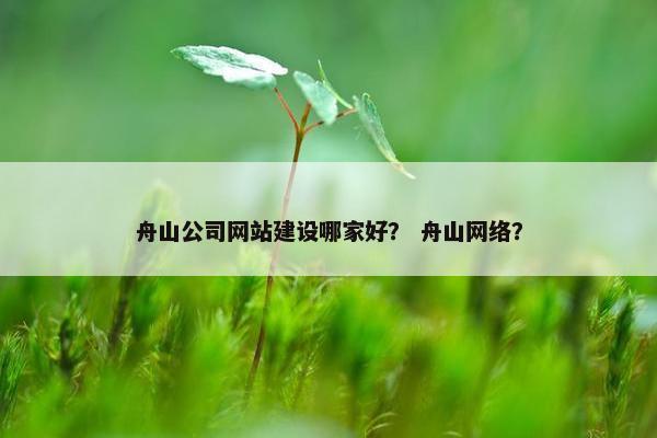 舟山公司网站建设哪家好？ 舟山网络？