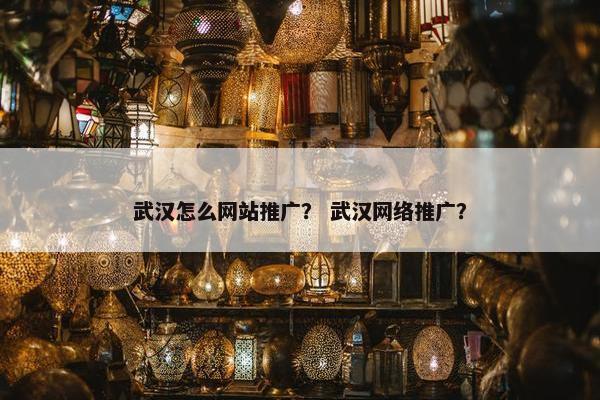 武汉怎么网站推广？ 武汉网络推广？