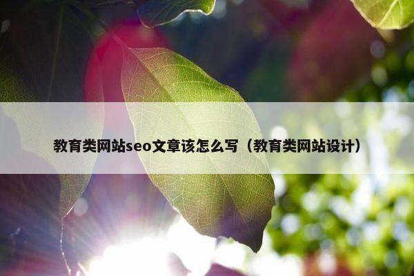 教育类网站seo文章该怎么写（教育类网站设计）