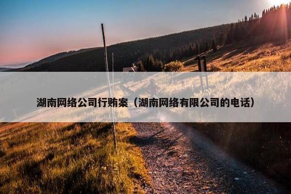 湖南网络公司行贿案（湖南网络有限公司的电话）