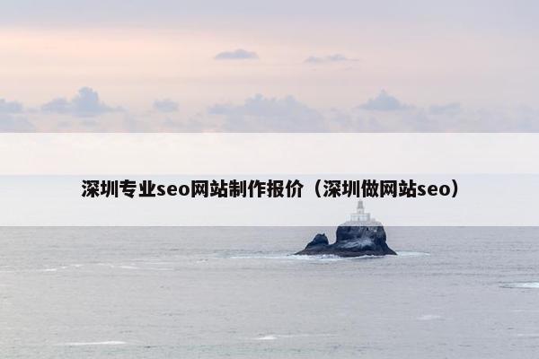 深圳专业seo网站制作报价（深圳做网站seo）