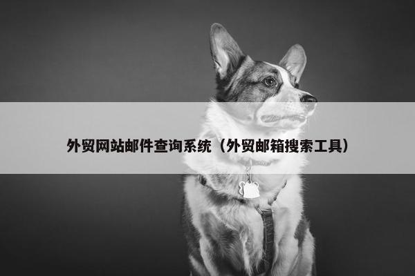 外贸网站邮件查询系统（外贸邮箱搜索工具）