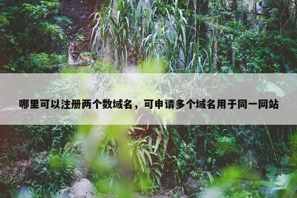 哪里可以注册两个数域名，可申请多个域名用于同一网站