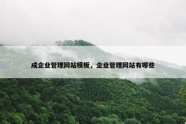 成企业管理网站模板，企业管理网站有哪些