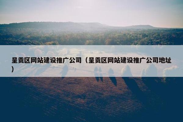 呈贡区网站建设推广公司（呈贡区网站建设推广公司地址）