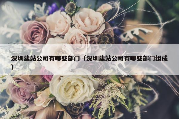 深圳建站公司有哪些部门（深圳建站公司有哪些部门组成）