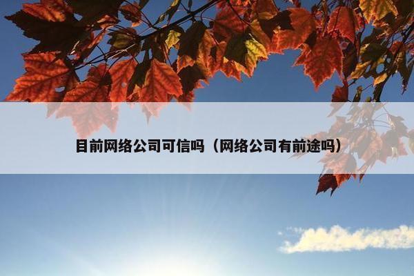 目前网络公司可信吗（网络公司有前途吗）