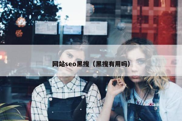 网站seo黑搜（黑搜有用吗）