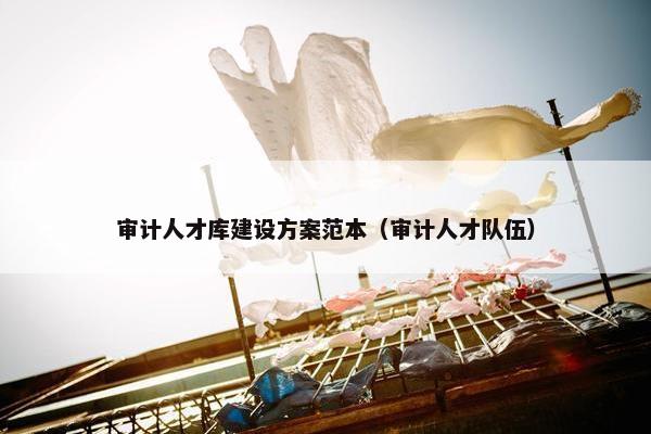 审计人才库建设方案范本（审计人才队伍）