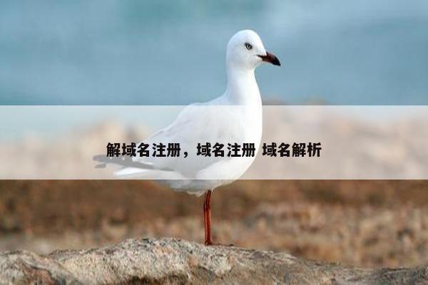 解域名注册，域名注册 域名解析