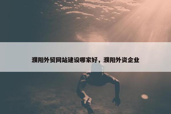 濮阳外贸网站建设哪家好，濮阳外资企业