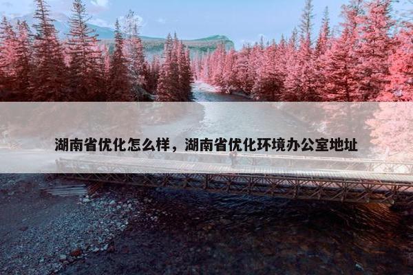 湖南省优化怎么样，湖南省优化环境办公室地址
