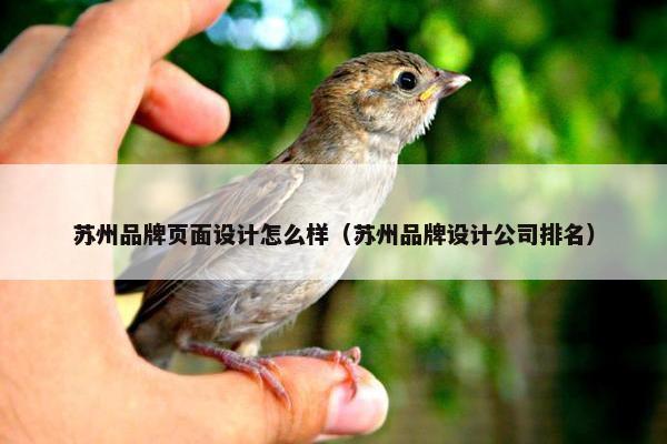 苏州品牌页面设计怎么样（苏州品牌设计公司排名）