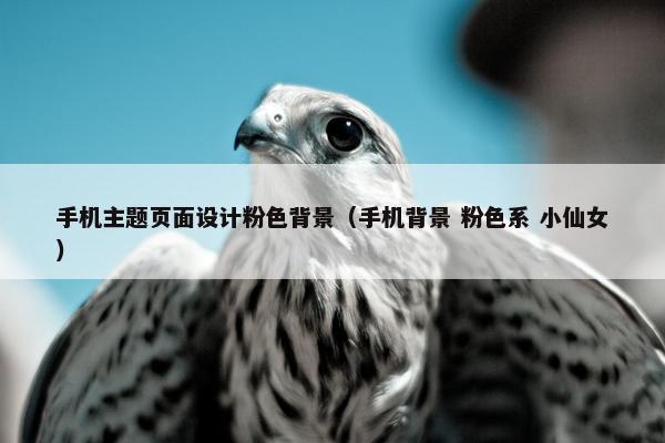 手机主题页面设计粉色背景（手机背景 粉色系 小仙女）