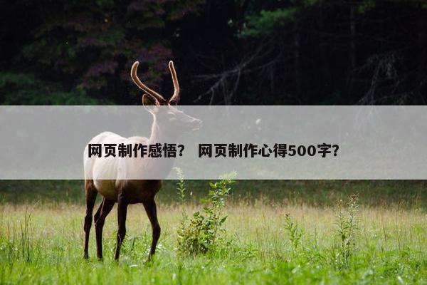 网页制作感悟？ 网页制作心得500字？