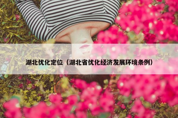 湖北优化定位（湖北省优化经济发展环境条例）