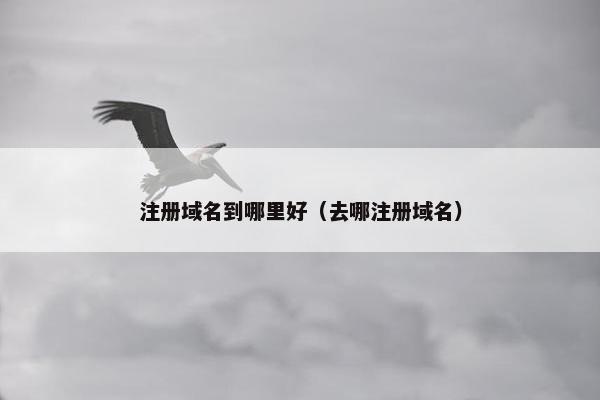 注册域名到哪里好（去哪注册域名）