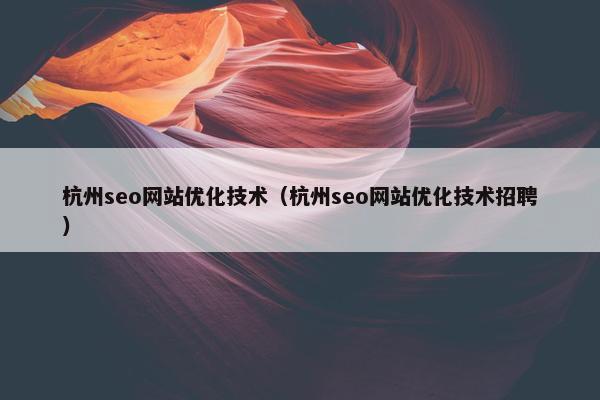 杭州seo网站优化技术（杭州seo网站优化技术招聘）