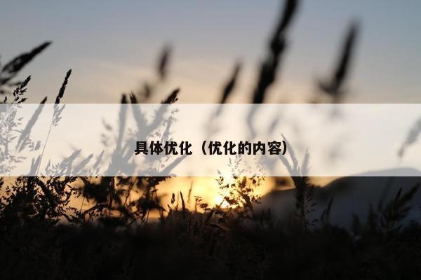 具体优化（优化的内容）
