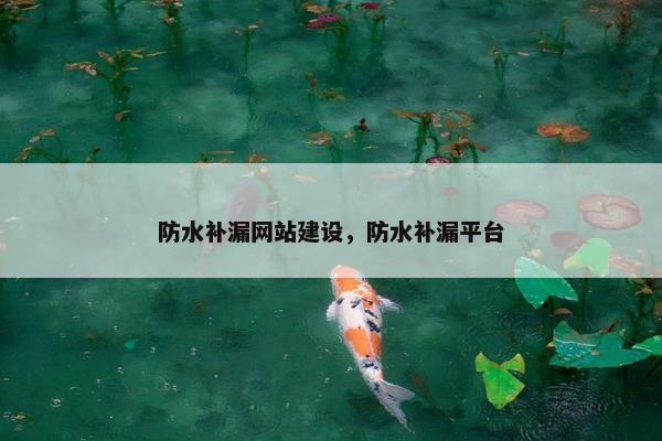 防水补漏网站建设，防水补漏平台