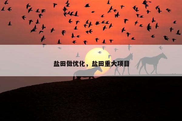盐田做优化，盐田重大项目