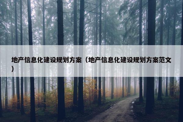 地产信息化建设规划方案（地产信息化建设规划方案范文）