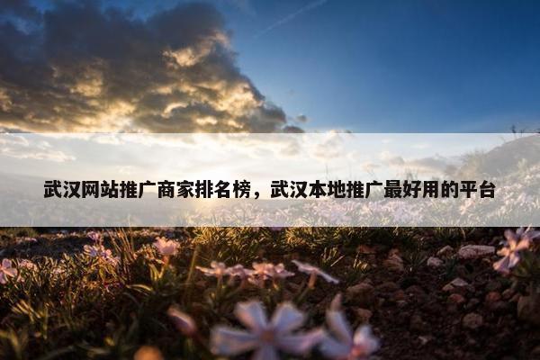武汉网站推广商家排名榜，武汉本地推广最好用的平台