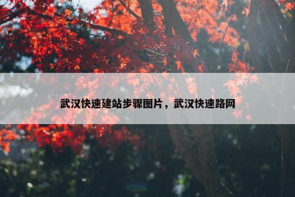 武汉快速建站步骤图片，武汉快速路网