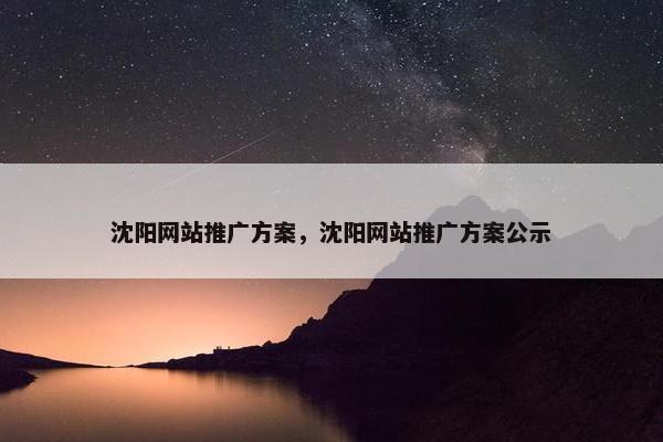 沈阳网站推广方案，沈阳网站推广方案公示