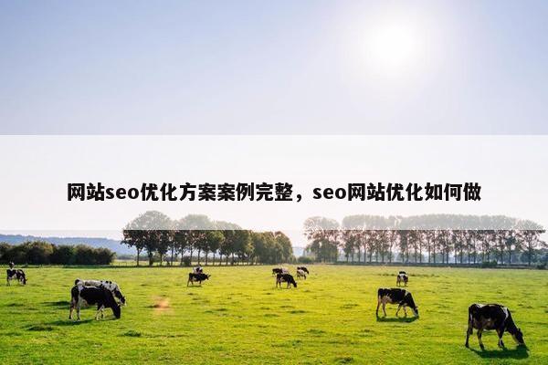 网站seo优化方案案例完整，seo网站优化如何做