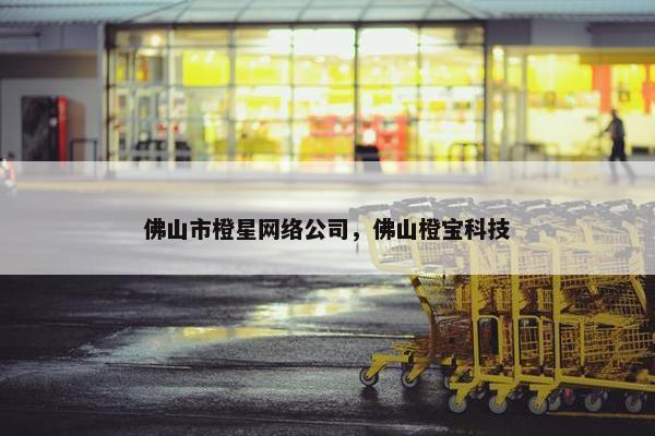 佛山市橙星网络公司，佛山橙宝科技