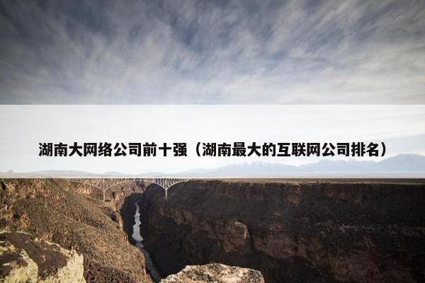 湖南大网络公司前十强（湖南最大的互联网公司排名）