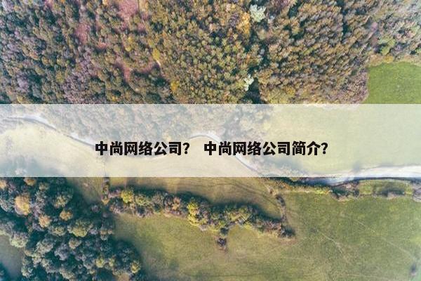 中尚网络公司？ 中尚网络公司简介？
