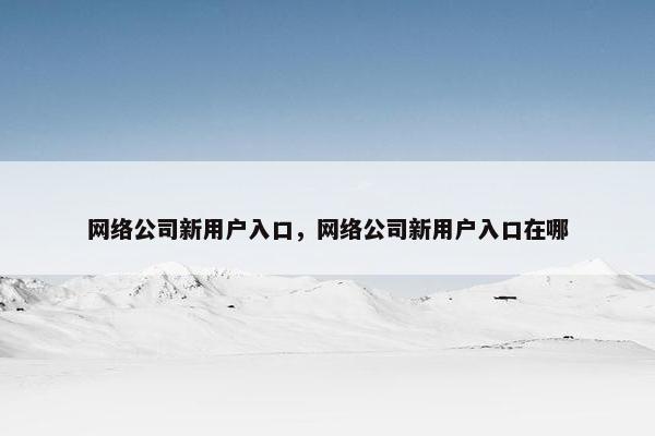 网络公司新用户入口，网络公司新用户入口在哪