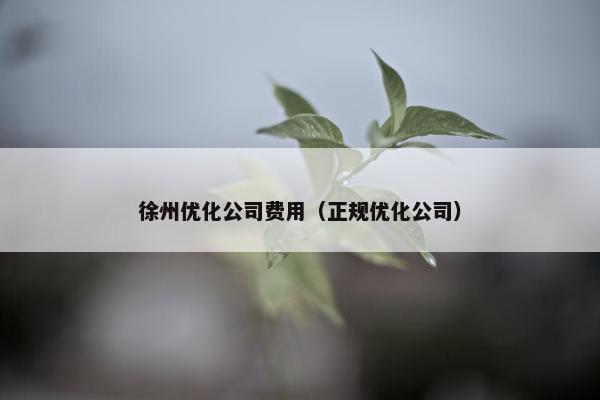 徐州优化公司费用（正规优化公司）