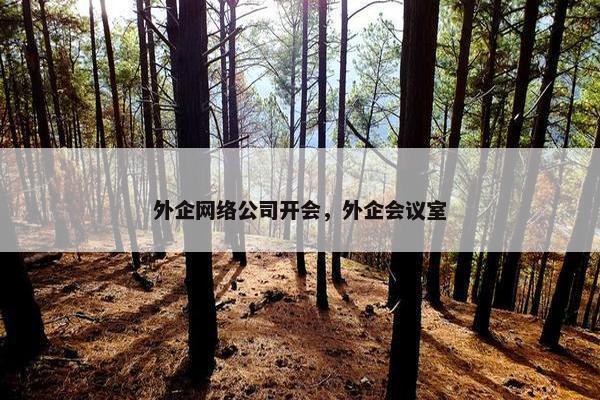 外企网络公司开会，外企会议室