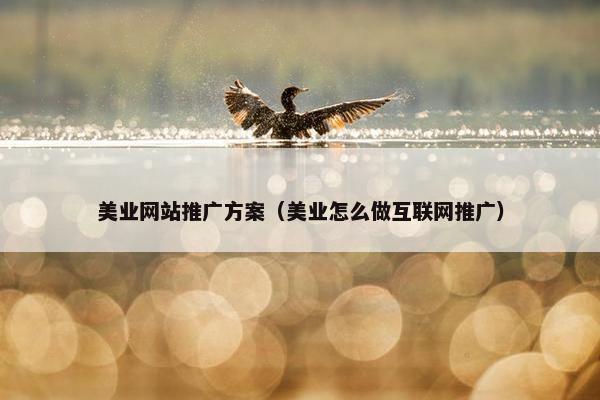 美业网站推广方案（美业怎么做互联网推广）