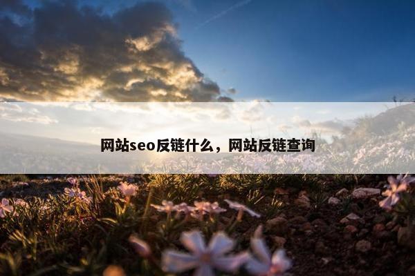 网站seo反链什么，网站反链查询