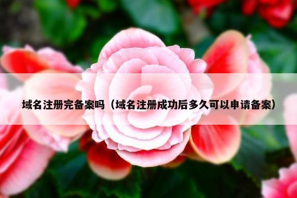 域名注册完备案吗（域名注册成功后多久可以申请备案）
