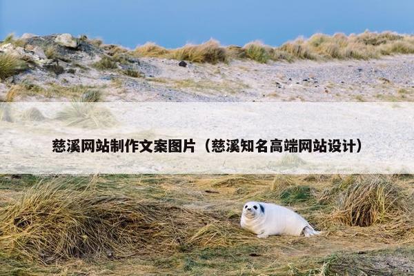 慈溪网站制作文案图片（慈溪知名高端网站设计）