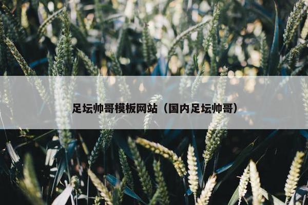 足坛帅哥模板网站（国内足坛帅哥）