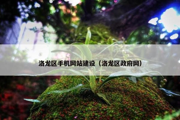 洛龙区手机网站建设（洛龙区政府网）
