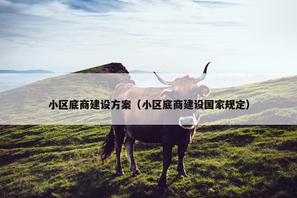小区底商建设方案（小区底商建设国家规定）