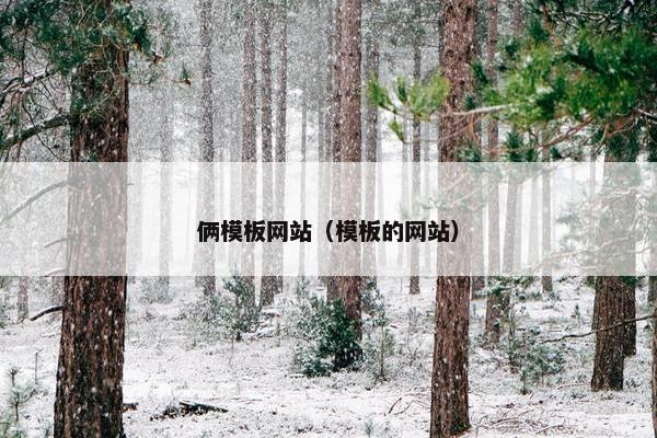 俩模板网站（模板的网站）