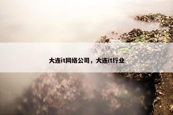 大连it网络公司，大连it行业