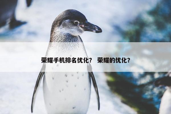 荣耀手机排名优化？ 荣耀的优化？