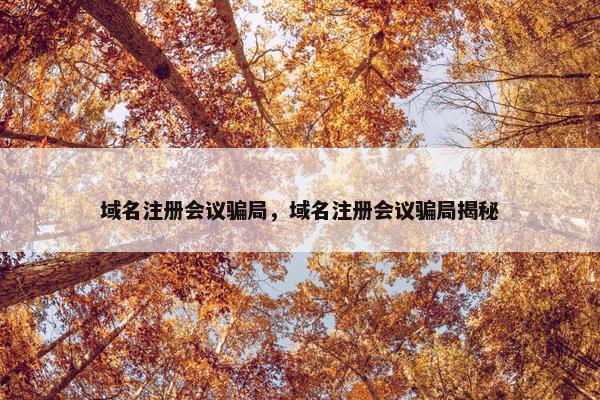 域名注册会议骗局，域名注册会议骗局揭秘